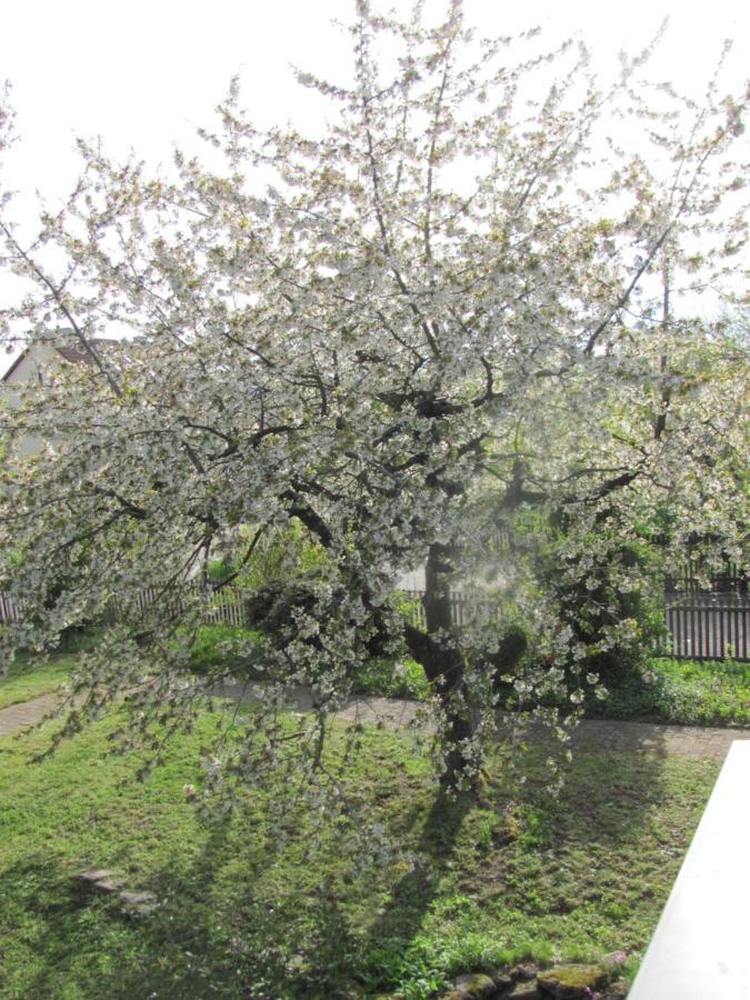 Hochwertiges Ferienhaus Im Romantischen Franken Colmberg المظهر الخارجي الصورة